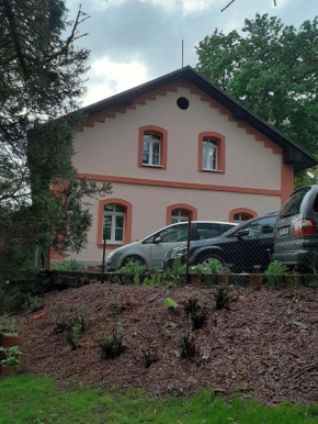 Borovnička Borovnicka